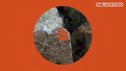 Bolo de maçã e canela molhadinho