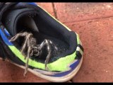 Large Spider Emerges From Shoe in Australia