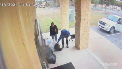 Heartless Couple Abandon 11 Pups And Their Mom Just Days Before Christmas.mp4