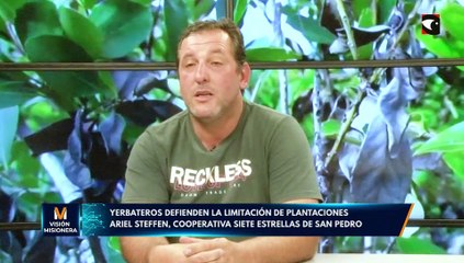 Yerbateros defienden la limitación de plantaciones