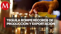 Producción y exportación de tequila cierra el año con máximos históricos: CRT