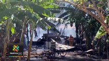 tn7-incendio-guanacaste-231221