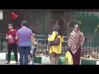 زوار حديقة الحيوان في "إجازة يوليو": الأطفال هيعملوا ايه في المتاحف