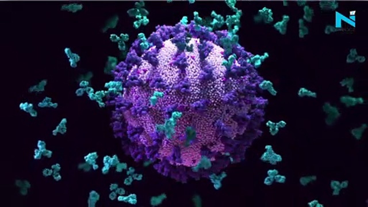 India's Omicron tally crosses 350-mark after multiple states report new cases