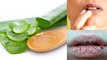 Lips पर Aloe Vera Gel लगाने से क्या होता है, Homemade Lip Balm बनाने का Easy तरीका | Boldsky