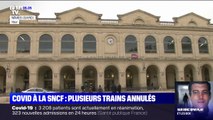 La SNCF contrainte d'annuler plusieurs trains à cause du Covid-19