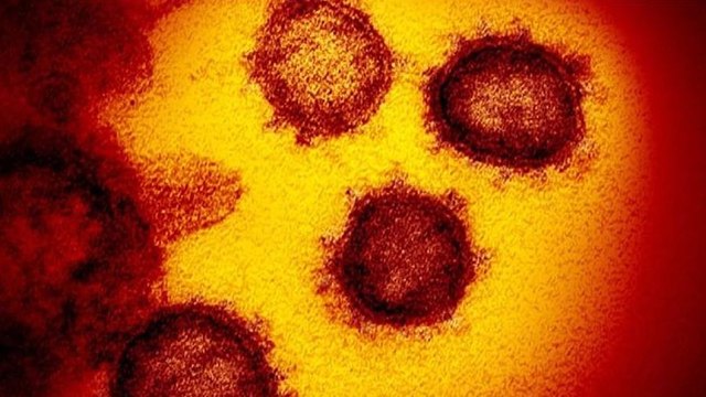Omicron Virus के बीच अब Delmicron बना चिंता की बड़ी वजह, जानिए कितना खतरनाक | Boldsky