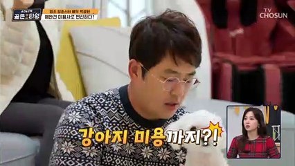 구름이 미용까지 광현의 부캐릭터 애견 미용사로 변신 TV CHOSUN 211224 방송