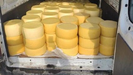 Sivas'ta 2 ton kaçak kaşar ele geçirildi
