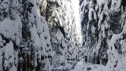 Gördükleri manzara karşısında şaşıp kaldılar