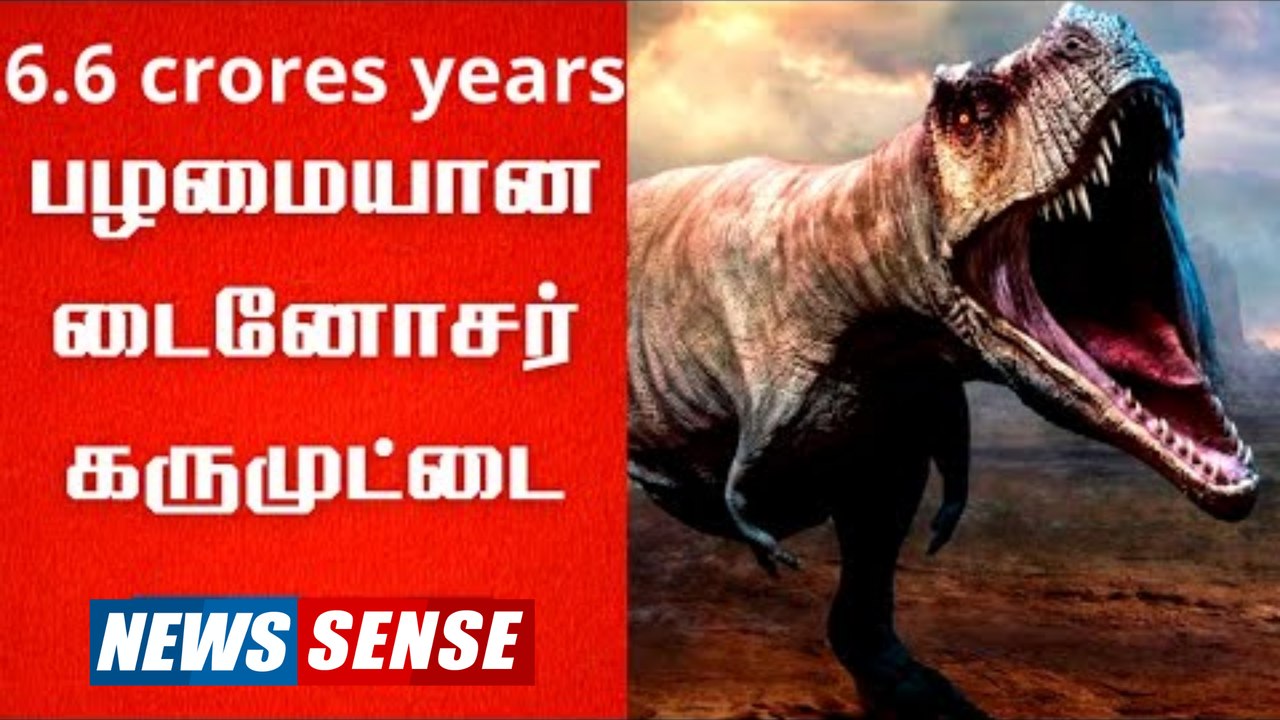 _ 6.6 கோடி ஆண்டுகள் பழமையான டைனோசர் முட்டை China-வில் கண்டுபிடிப்பு |_ News Sense