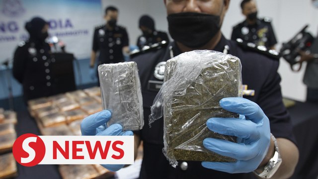 Drug ring crippled with arrest of five and seizure of ganja in Penang