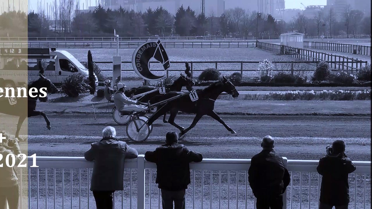 Pronostic gratuit pour le Quinté PMU du samedi 25 décembre 2021