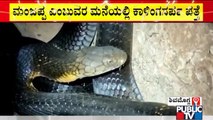 King Cobra Found At A House In Kudlukoppa | Shivamogga