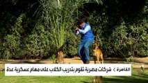 العربية ترصد مراحل تدريب الكلاب على المشاركة في مكافحة الإرهاب