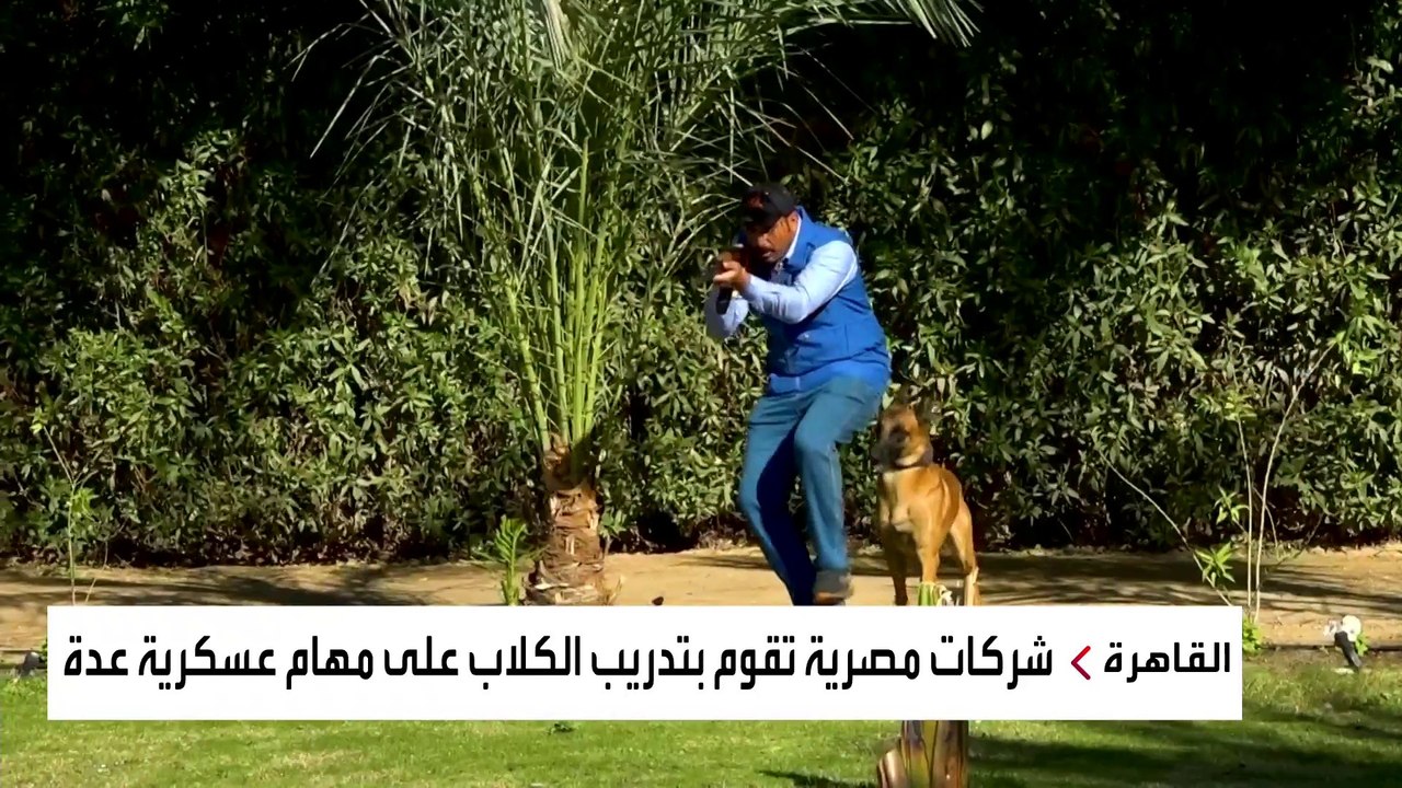 العربية ترصد مراحل تدريب الكلاب على المشاركة في مكافحة الإرهاب