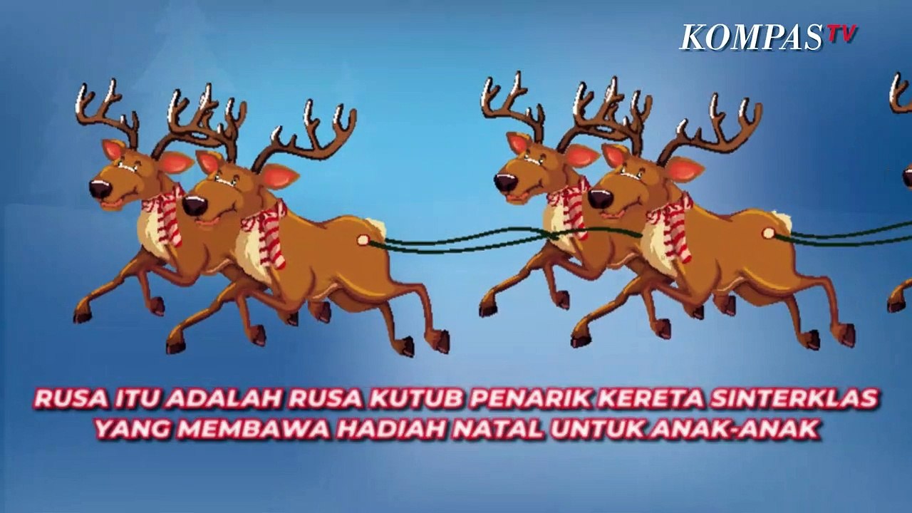 Berapa Jumlah Rusa Penarik Kereta Sinterklas? Berikut Fakta Menariknya