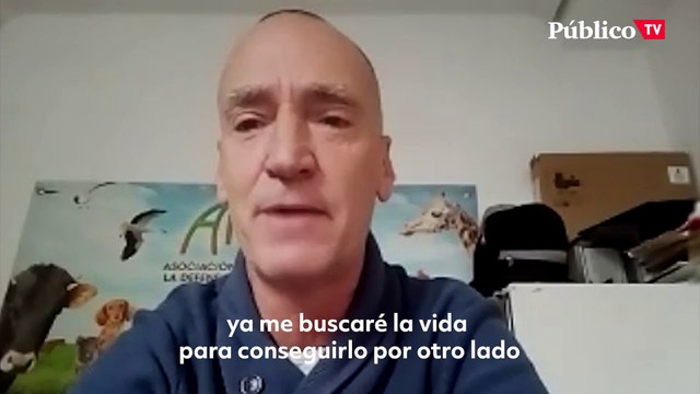 Asociaciones animalistas exigen a Milanuncios que pare la venta de animales en su portal