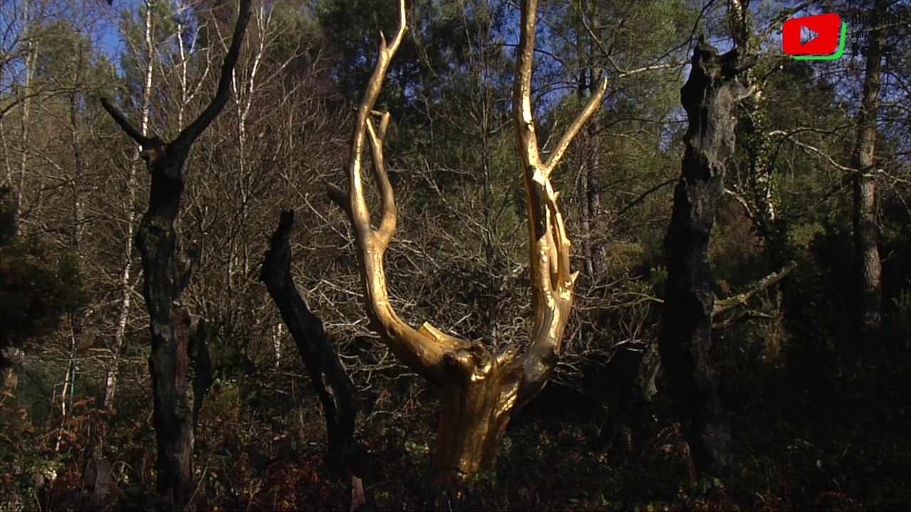 Brocéliande  |  L'Arbre d'Or de Paimpont - Ploërmel Bretagne Télé