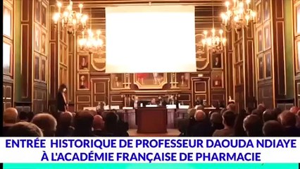 Prix de la francophonie décerné par l’académie française : Le Pr Daouda Ndiaye au pinacle