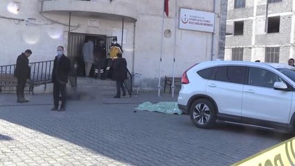 ŞANLIURFA - Karısını silahla öldüren kişi intihar etti