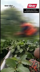 Bukan anggota bomba petik ketum