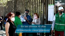 CDMX cierra año en verde con leve alza de contagios