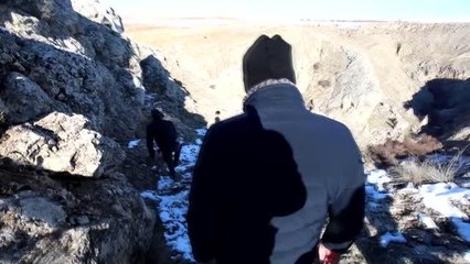Yaban hayvanları için doğaya yem bırakıldı