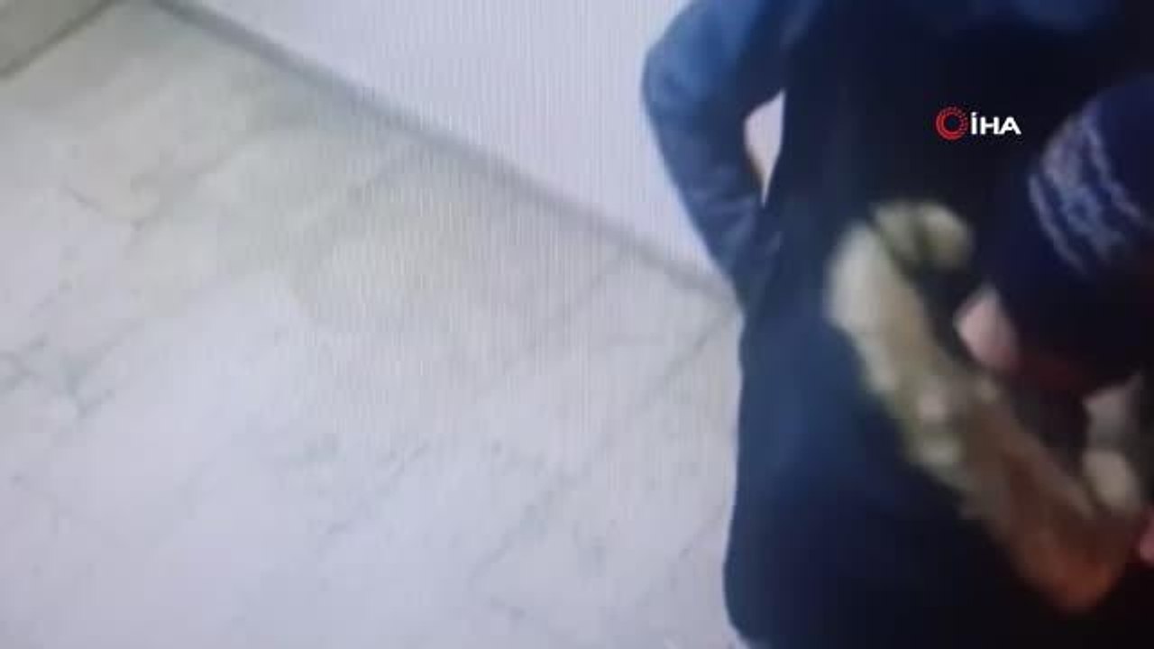 Çarşafla evden çıkarttıkları kasayı, çöp konteynırıyla götüren hırsızlar kamerada