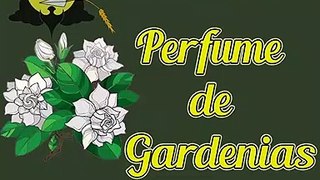 Perfume de Gardenias