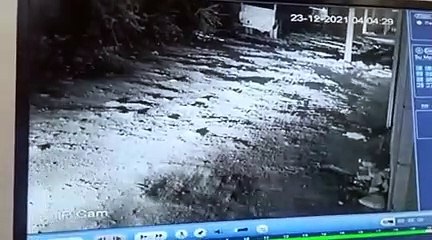 कार में आए चोर, पिकअप चुराकर ले गए