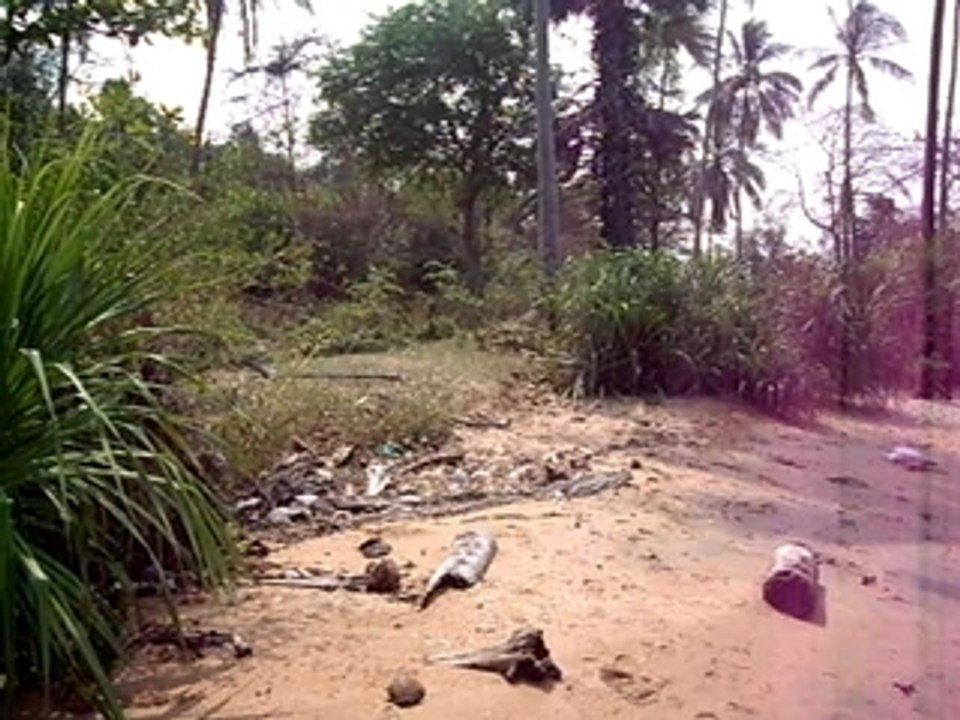 koh tonsay avec jeanne
