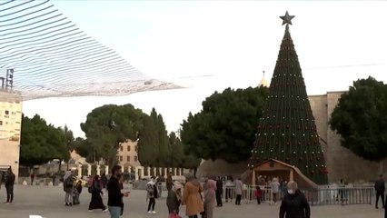 tn7-navidad-belen-241221