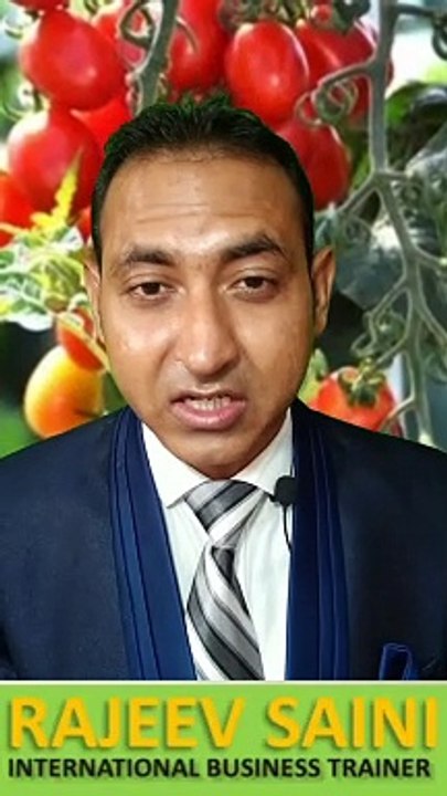 Top importer countries of tomatoes