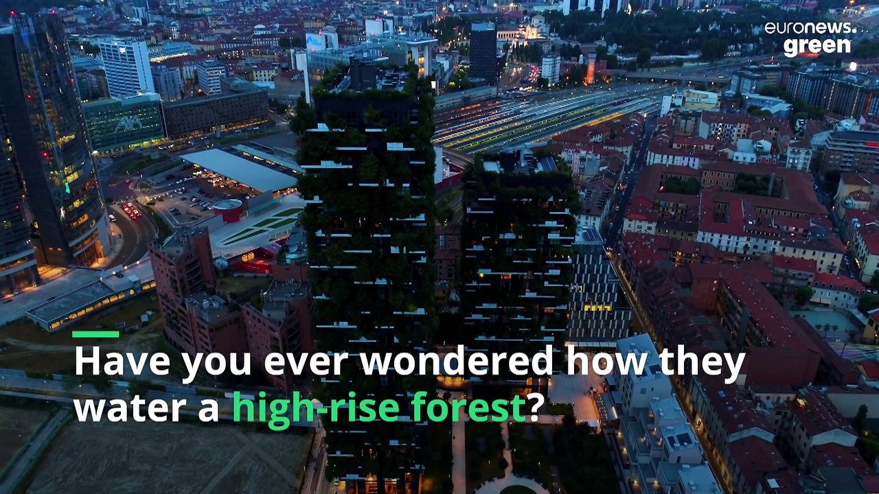 Flying gardeners defy gravity to keep Milan's vertical forest alive