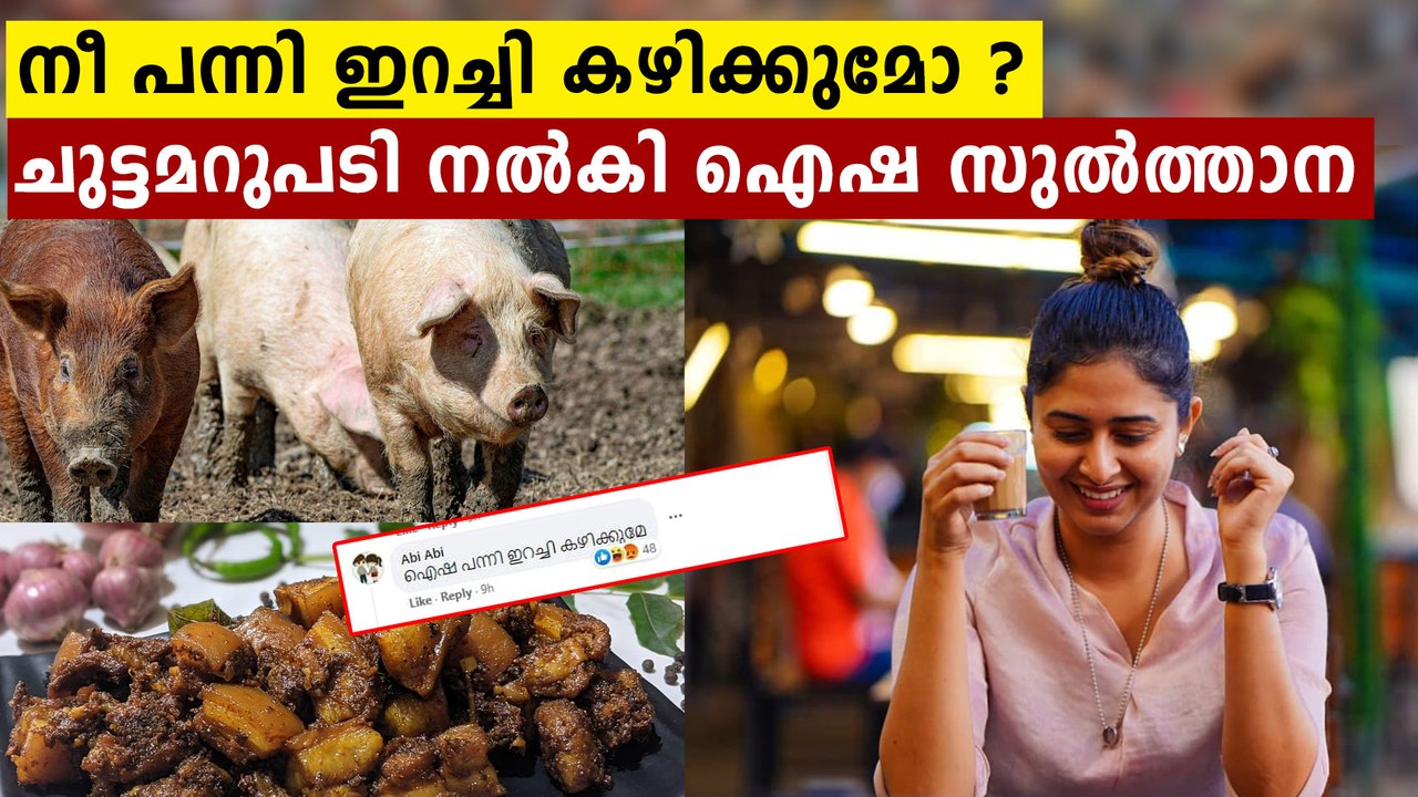 പന്നി ഇറച്ചി കഴിക്കുമോ എന്ന് ചോദിച്ച സംഘി കുട്ടന് ഐഷയുടെ ചുട്ടമറുപടി