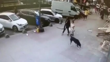 SULTANGAZİ'DE İLGİNÇ GÖRÜNTÜ... KEDİDEN KAÇAN KÖPEK ÇARPTIĞI KADINI DÜŞÜRDÜ