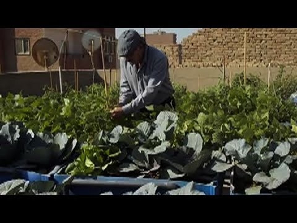 فنان تشكيلي يرسم لوحة فنية أعلى سطح منزله بالفيوم