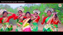 Matal Bore Disna Bap Biha ll New Tusu Geet ll নতুন টুসু গিত 2022 ll Singer Kalyani Màhato