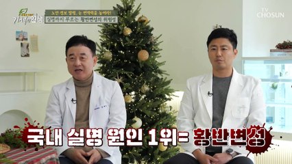황반변성 발병률 40%이상 감소시켜주는 효자템 TV CHOSUN 20211225 방송