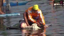 ปล่อยปลาบึก 16 ปี หนัก 100 โล ชาวบ้านนับพันแห่จับ | ชนคลิปข่าว 25/12/64 เดลินิวส์