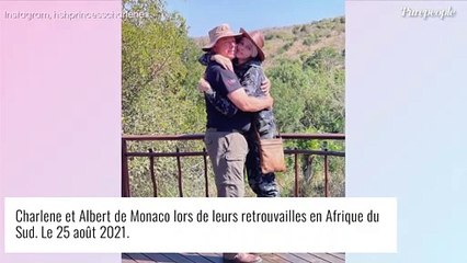 Charlene de Monaco : Ce que l'on sait de son drôle de chien, ramené d'Afrique du Sud