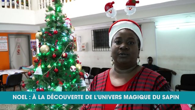 Le sapin : magie, beauté et féerie, une touche à Noël (Vies d’Ici)