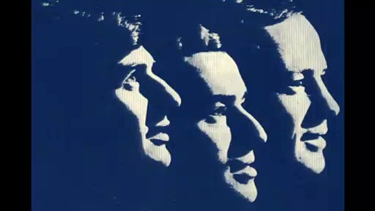 modern folk üçlüsü - leblebi