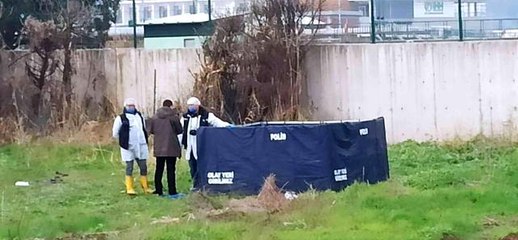 Bursa'da yarısı köpeklerin parçaladığı ceset bulundu