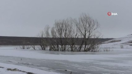 Yurtta kara kış etkisini artırıyor