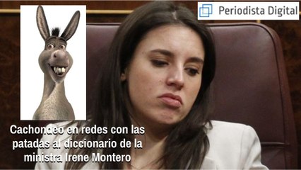 Irene Montero: cachondeo en redes sociales con las patadas al diccionario de la ministra consorte