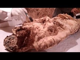 الوطن داخل المقبرة رقم 150 جحوتي مس في الأقصر