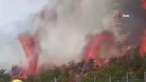 Son dakika haber: Arjantin'deki orman yangınlarında 3 bin 900 hektarlık alan kül oldu