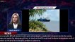 NASA's James Webb Space Telescope launches in French Guiana - 1BREAKINGNEWS.COM